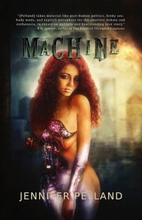 Machine cover - click to view full size